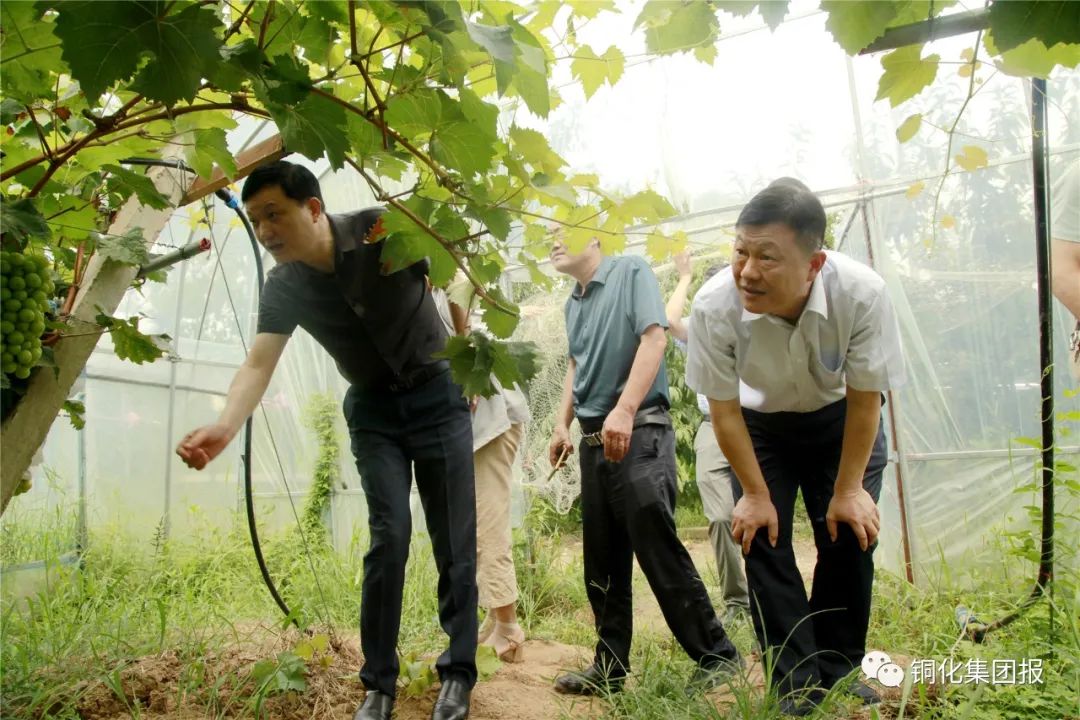 J9游戏(中国)-官方网站