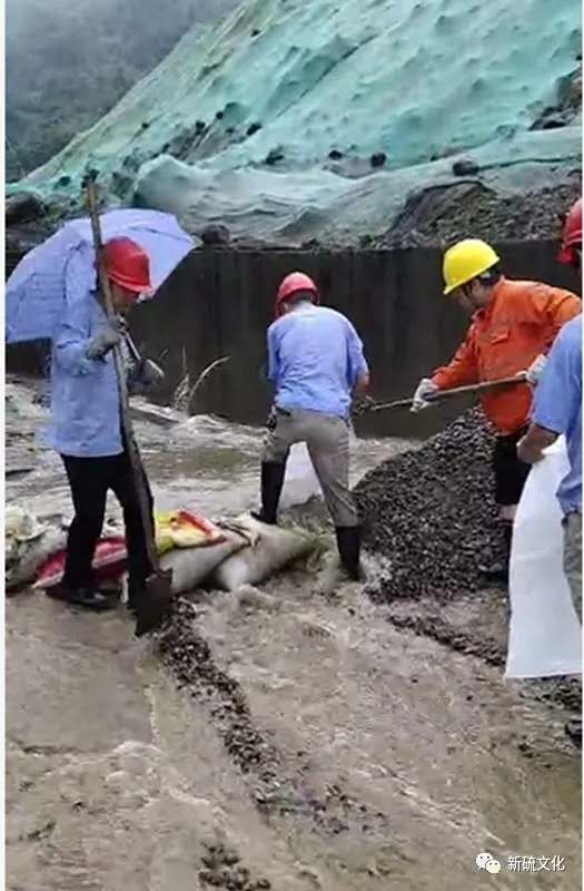 J9游戏(中国)-官方网站
