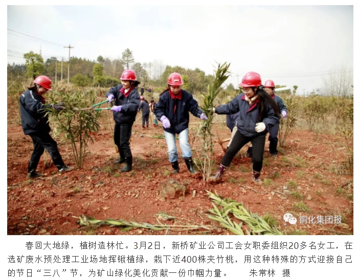 J9游戏(中国)-官方网站