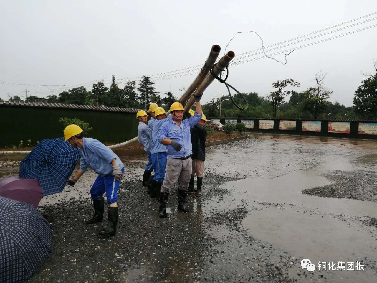 J9游戏(中国)-官方网站